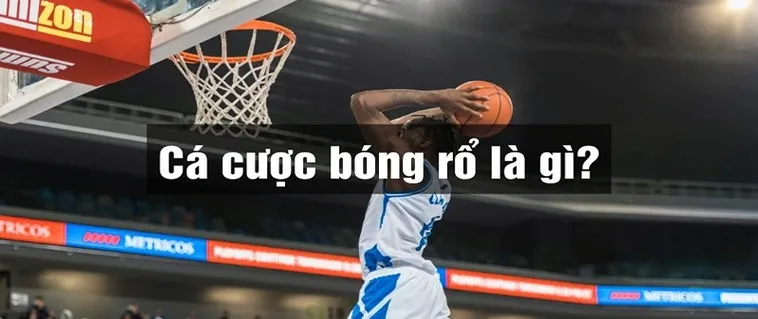 Khám Phá Cá Cược Bóng Rổ QQ88 Đỉnh Cao Thắng Lớn Hấp Dẫn Không Thể Bỏ Lỡ 1 Khám Phá Cá Cược Bóng Rổ QQ88 Đỉnh Cao Thắng Lớn Hấp Dẫn Không Thể Bỏ Lỡ